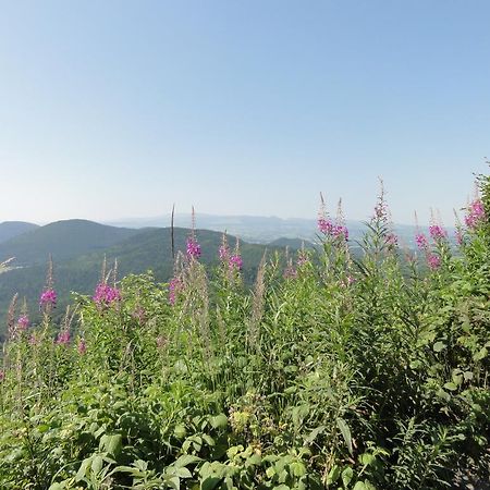 La Maison De Maidara Bed and Breakfast Olby Εξωτερικό φωτογραφία
